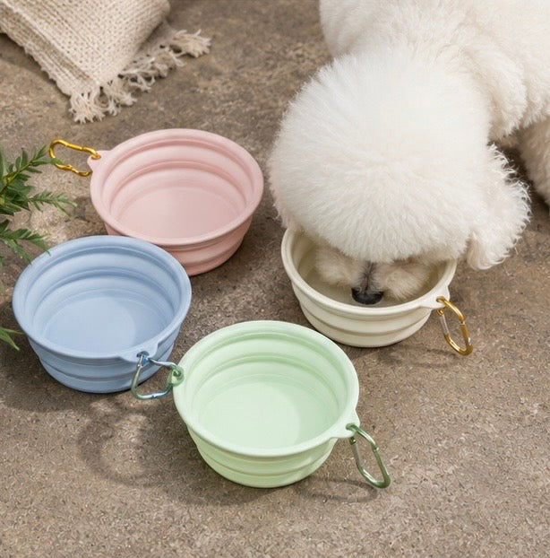 Collapsible Silicone Dog Travel Bowl – Portable Food & Water Bowl