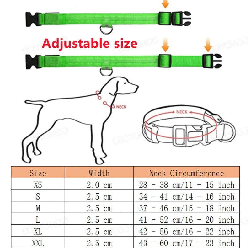 Rechargeable LED Light-Up Pet Collar