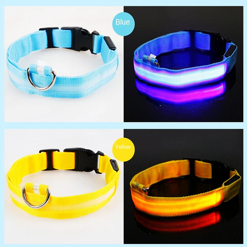 Rechargeable LED Light-Up Pet Collar