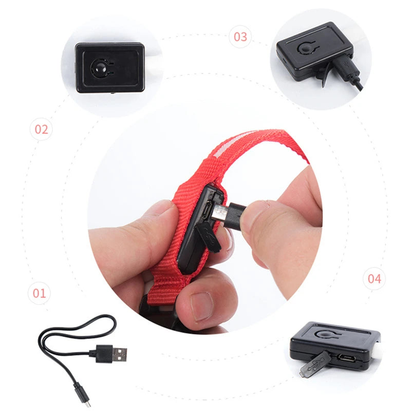 Rechargeable LED Light-Up Pet Collar