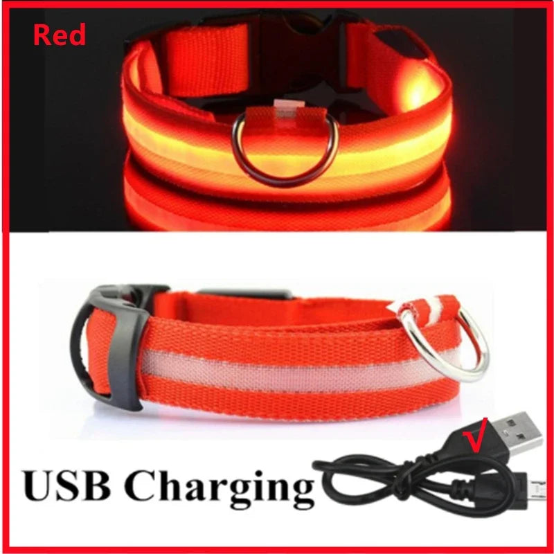 Rechargeable LED Light-Up Pet Collar