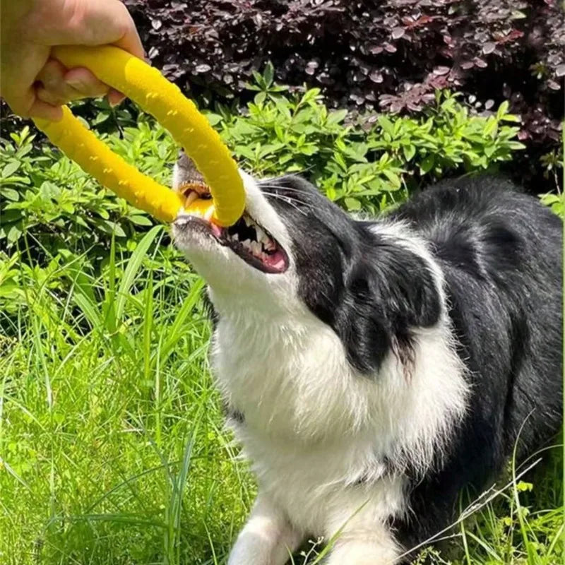 Dog Flying Ring Toy – Chew, Fetch & Outdoor Training Toy