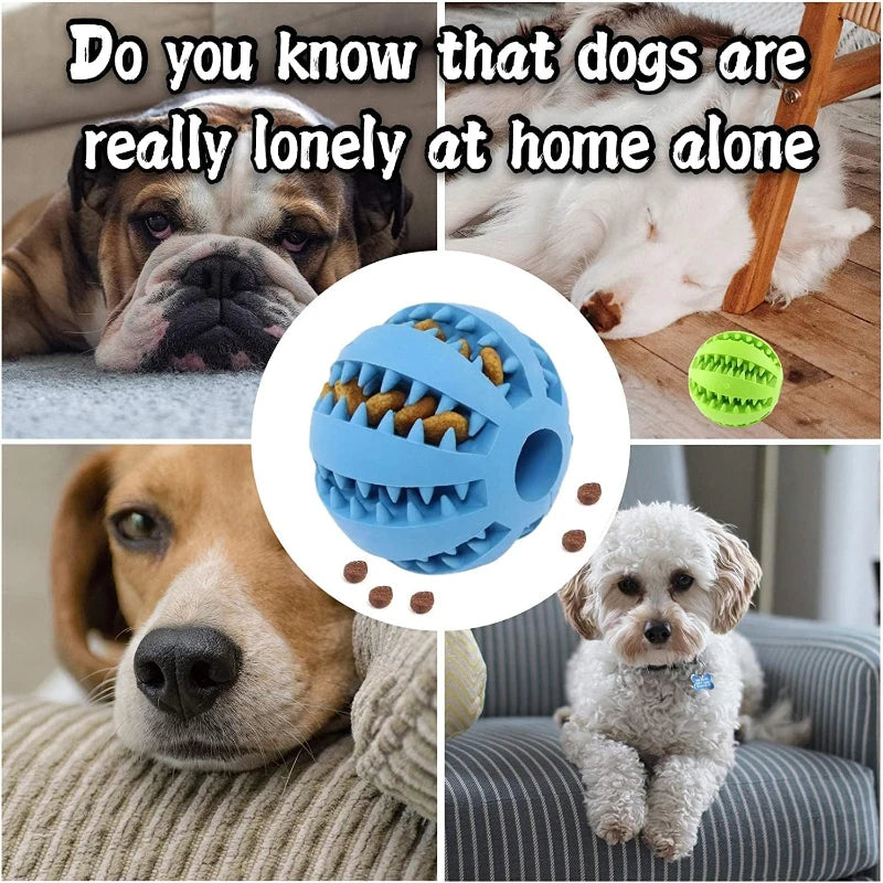 Interactive Dog Treat Ball – Chew, Dental Cleaning & Puzzle Toy