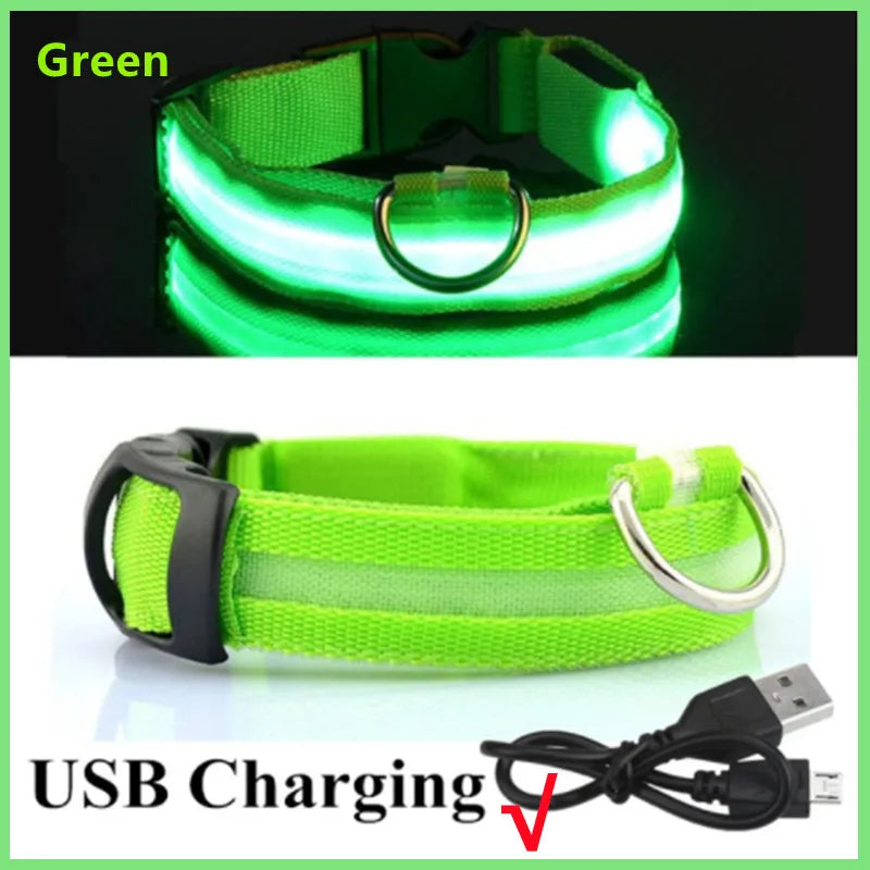 Rechargeable LED Light-Up Pet Collar