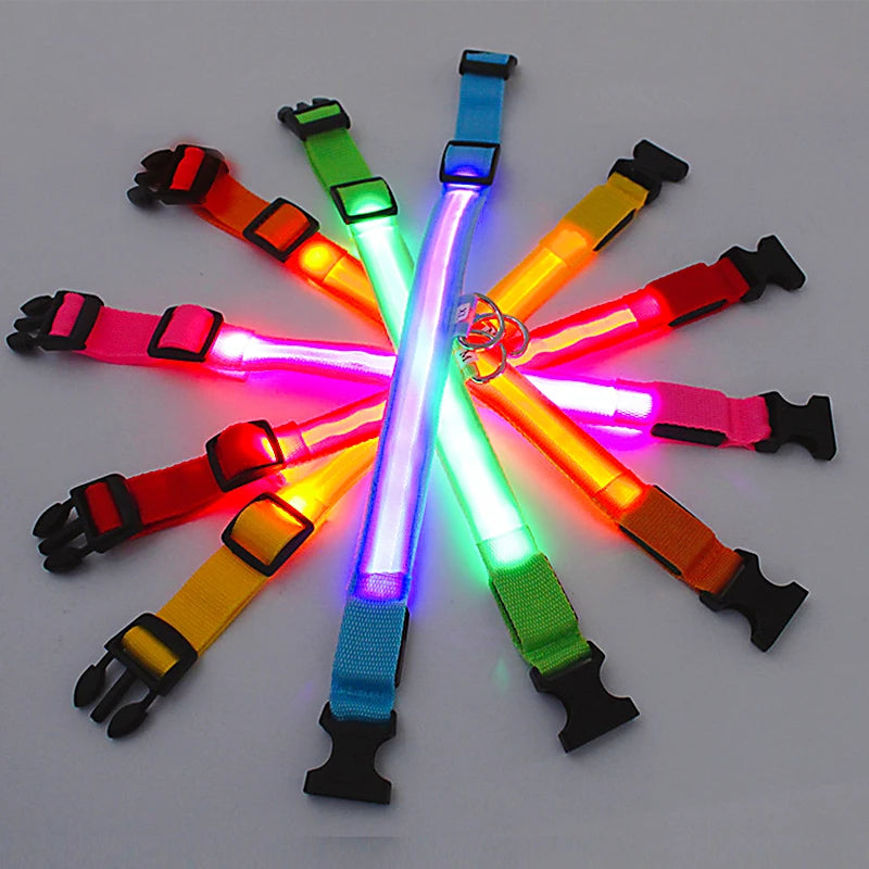 Rechargeable LED Light-Up Pet Collar