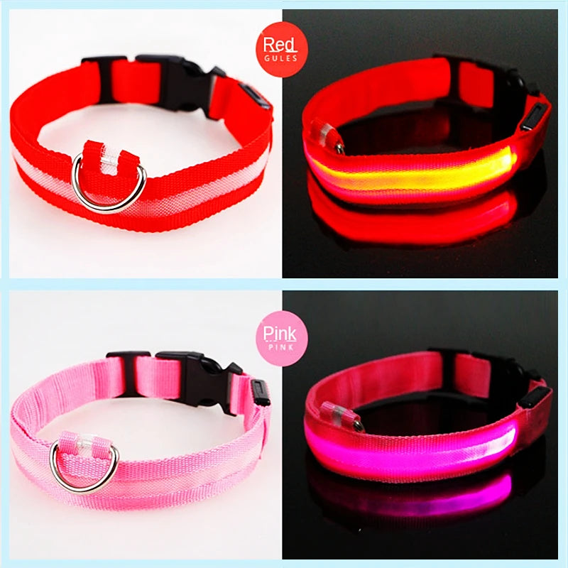 Rechargeable LED Light-Up Pet Collar