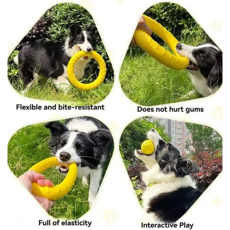 Dog Flying Ring Toy – Chew, Fetch & Outdoor Training Toy