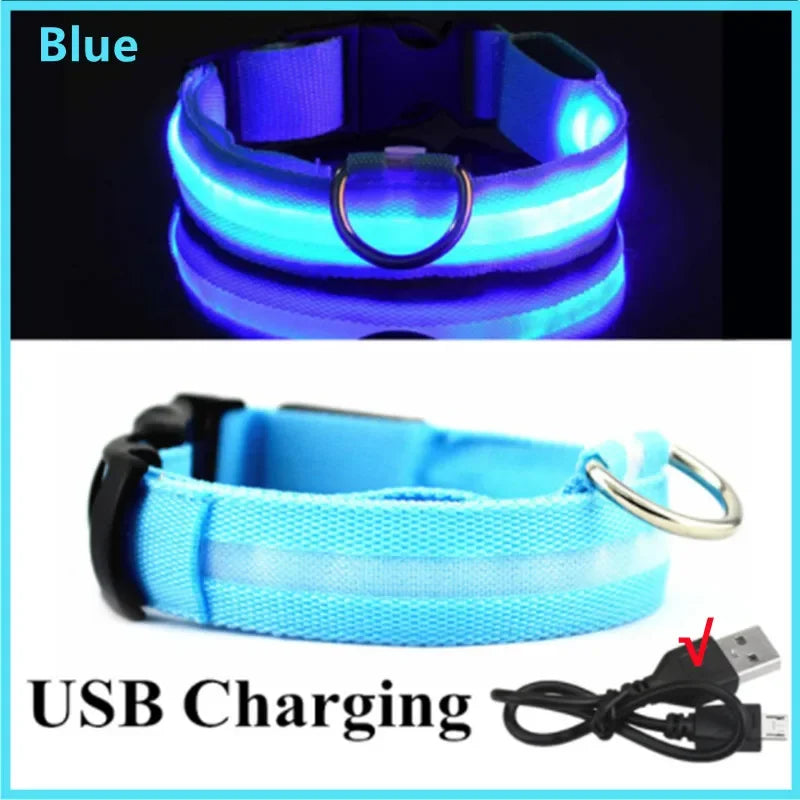 Rechargeable LED Light-Up Pet Collar