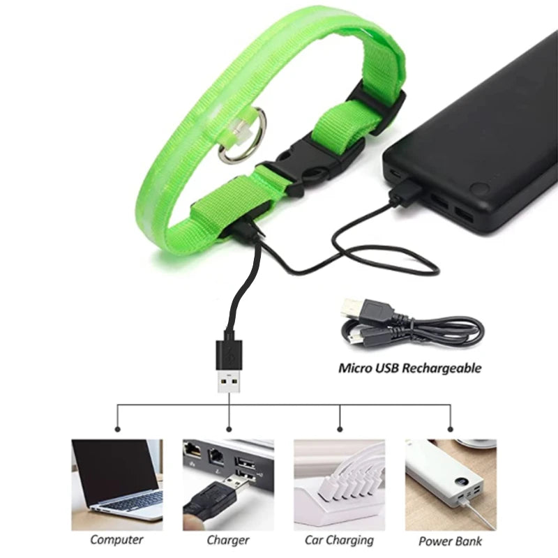 Rechargeable LED Light-Up Pet Collar