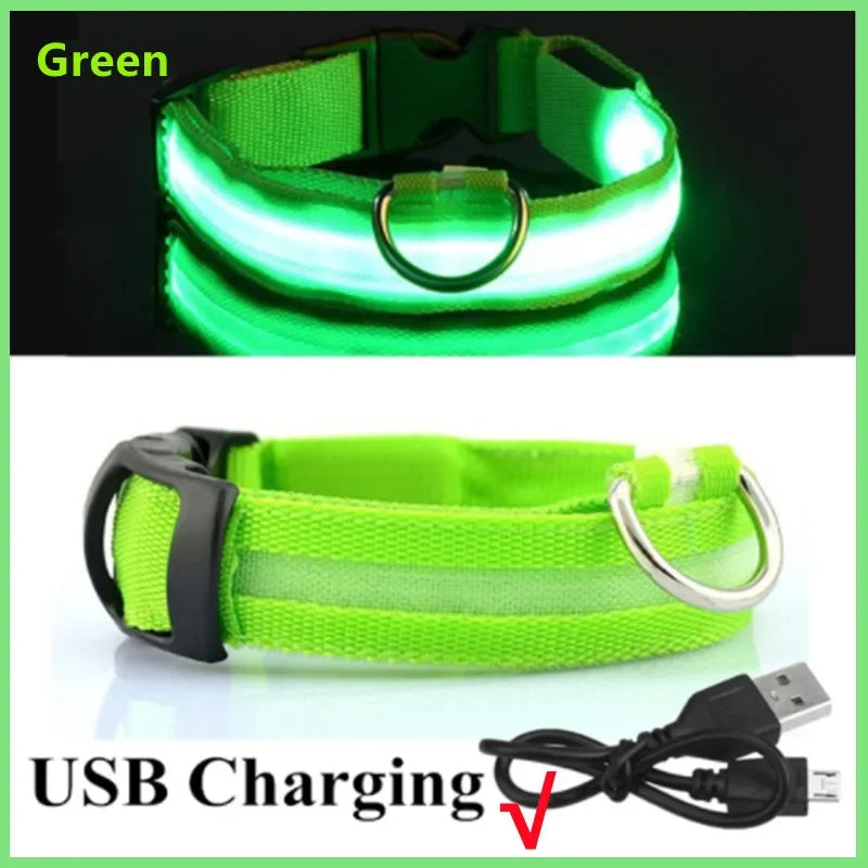Rechargeable LED Light-Up Pet Collar