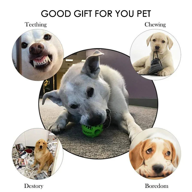 Interactive Dog Treat Ball – Chew, Dental Cleaning & Puzzle Toy