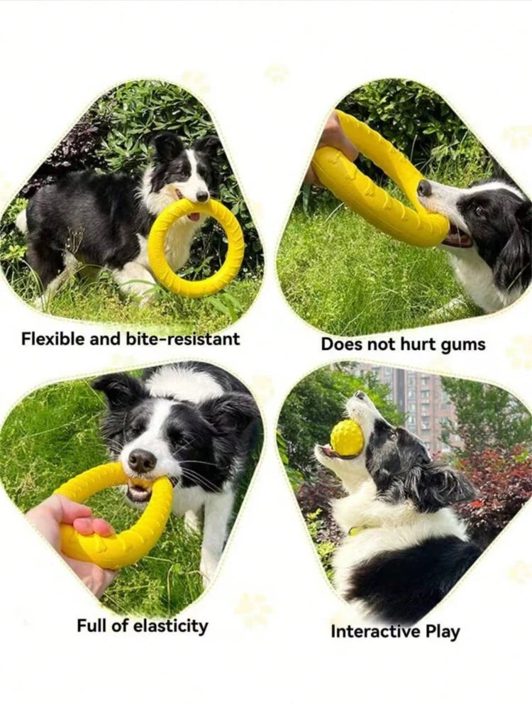 Dog Flying Ring Toy – Chew, Fetch & Outdoor Training Toy