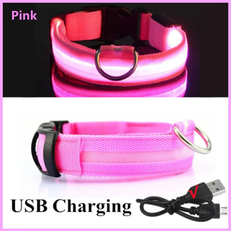 Rechargeable LED Light-Up Pet Collar