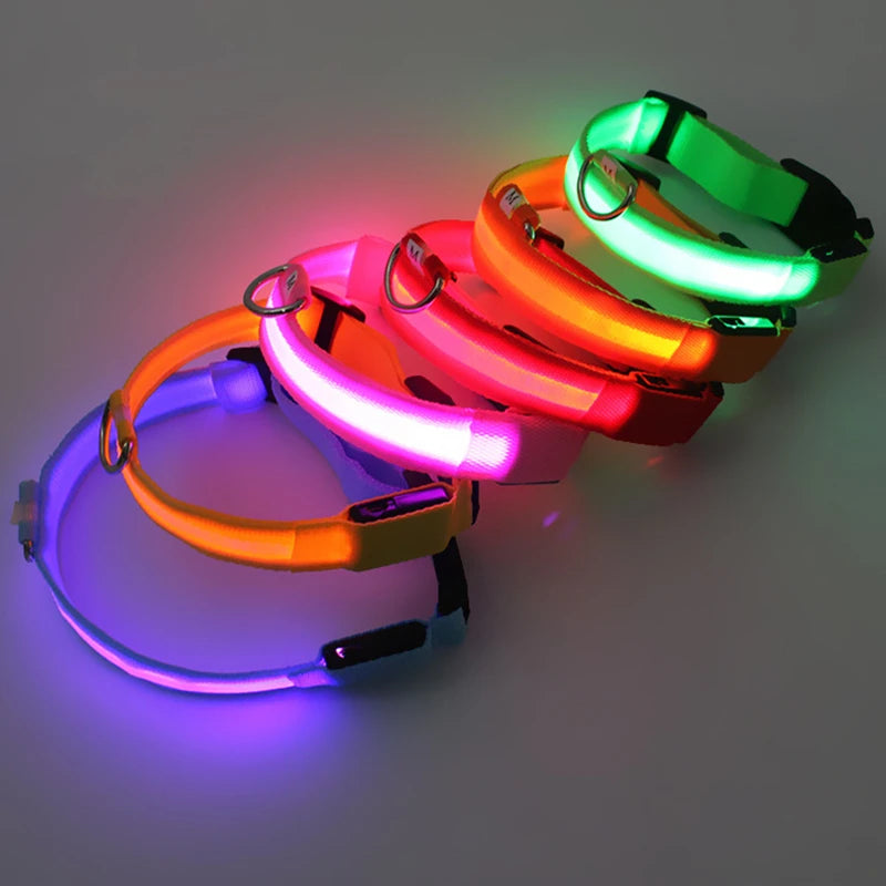 Rechargeable LED Light-Up Pet Collar