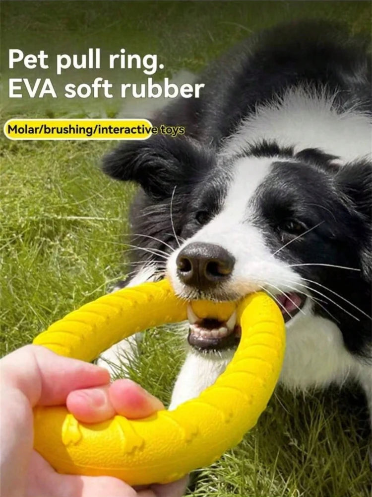 Dog Flying Ring Toy – Chew, Fetch & Outdoor Training Toy