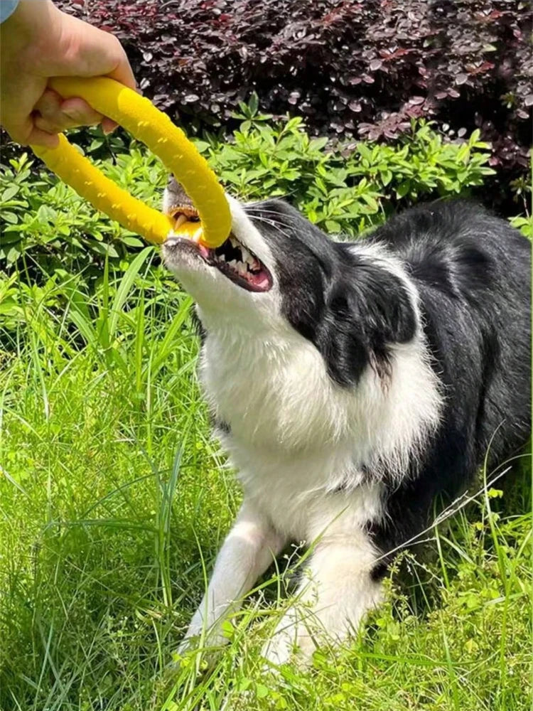 Dog Flying Ring Toy – Chew, Fetch & Outdoor Training Toy
