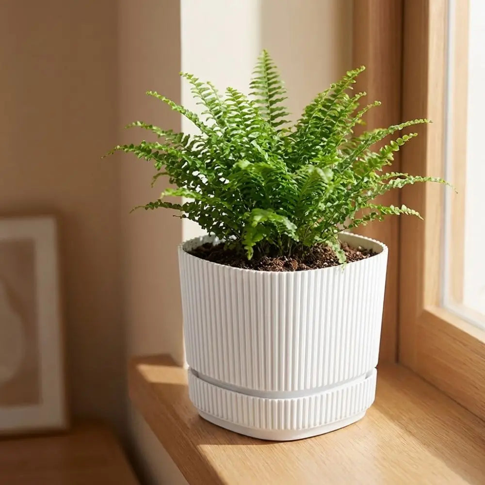 Double-Layer Self-Watering Plant Pot | Indoor Plastic Flower Pot with Drainage System