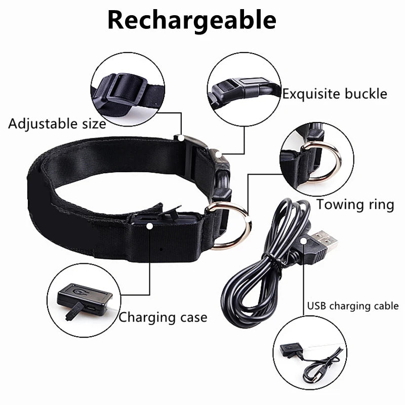 Rechargeable LED Light-Up Pet Collar