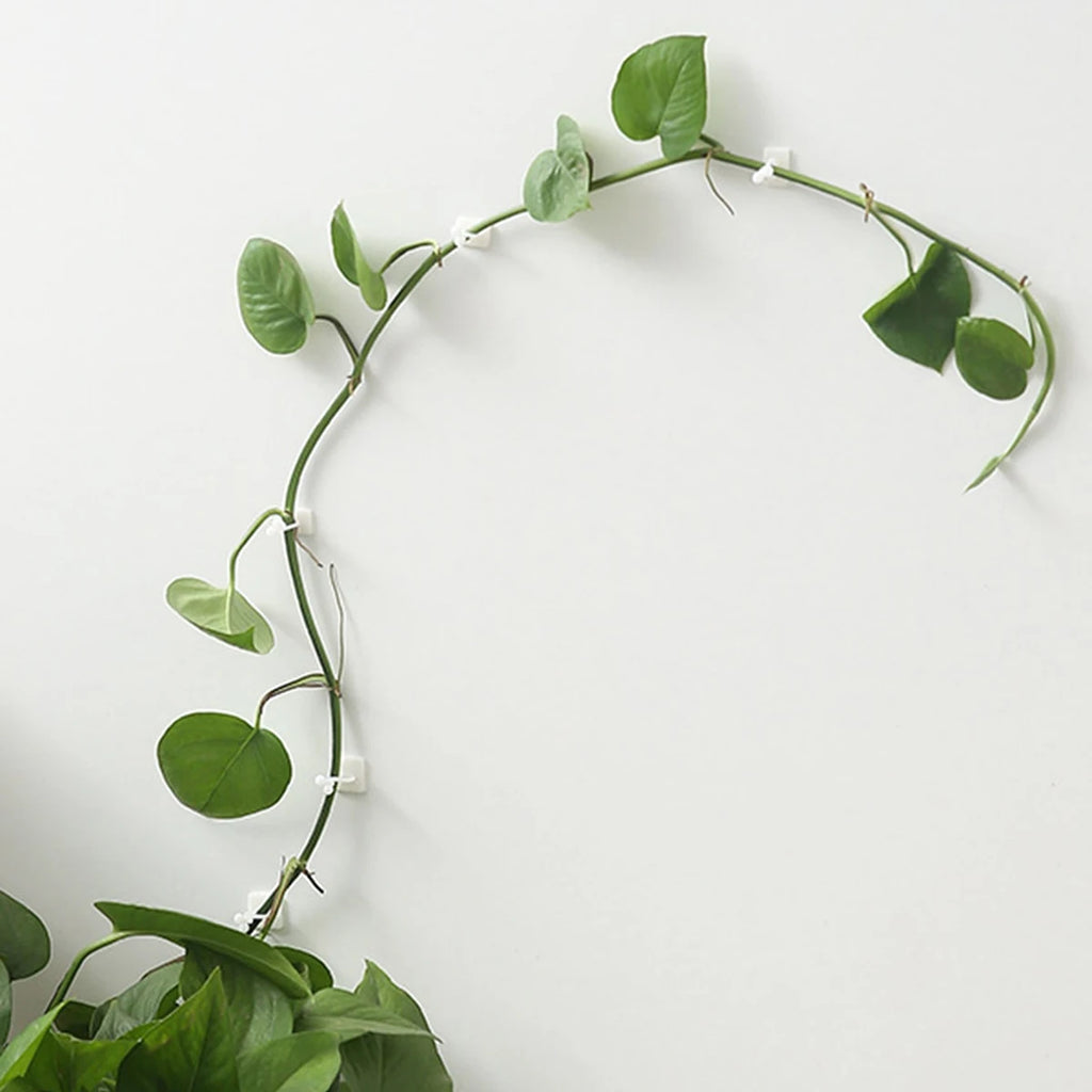 Self-Adhesive Plant Wall Clips (10 Pack)