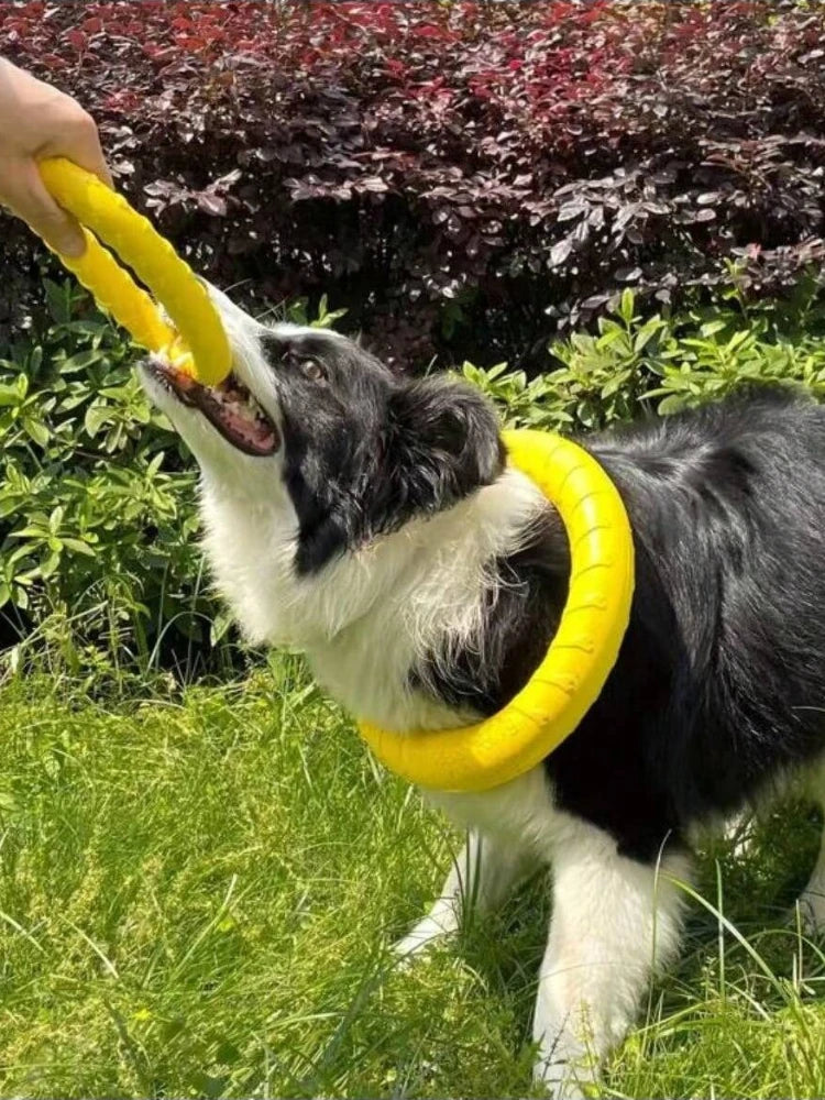 Dog Flying Ring Toy – Chew, Fetch & Outdoor Training Toy