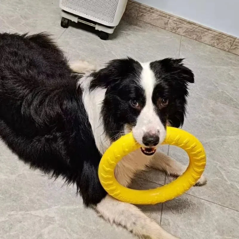 Dog Flying Ring Toy – Chew, Fetch & Outdoor Training Toy