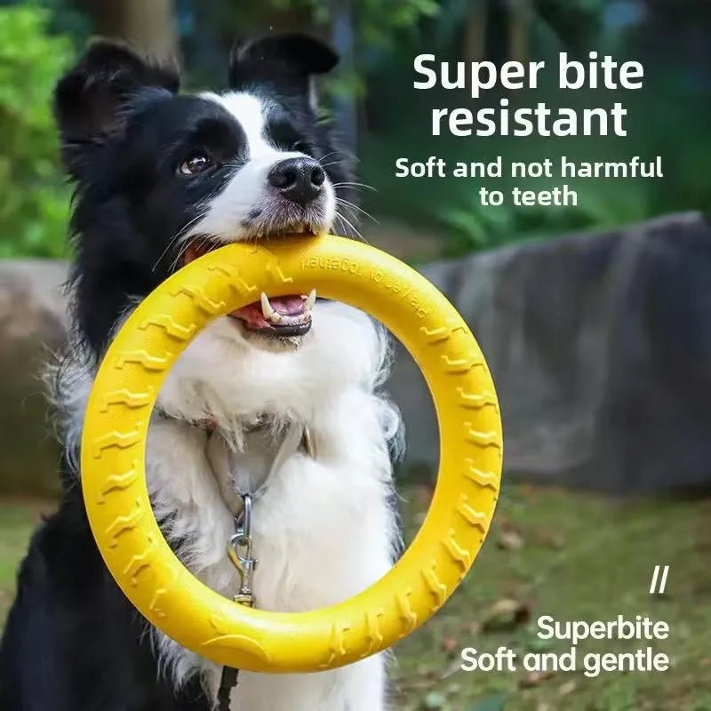 Dog Flying Ring Toy – Chew, Fetch & Outdoor Training Toy