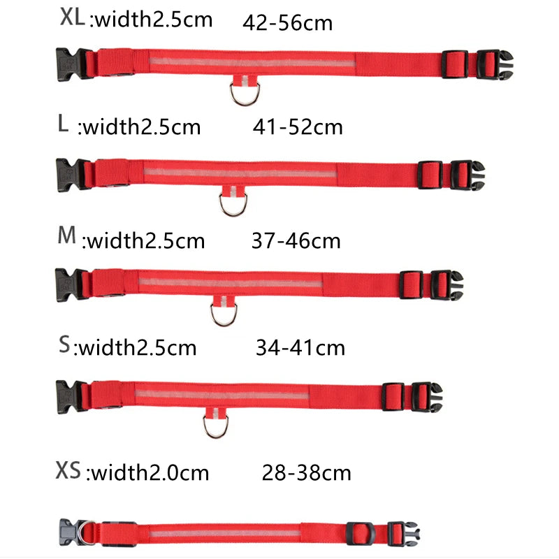 Rechargeable LED Light-Up Pet Collar