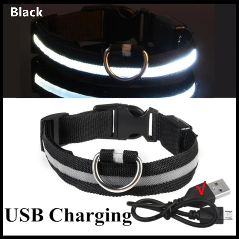 Rechargeable LED Light-Up Pet Collar