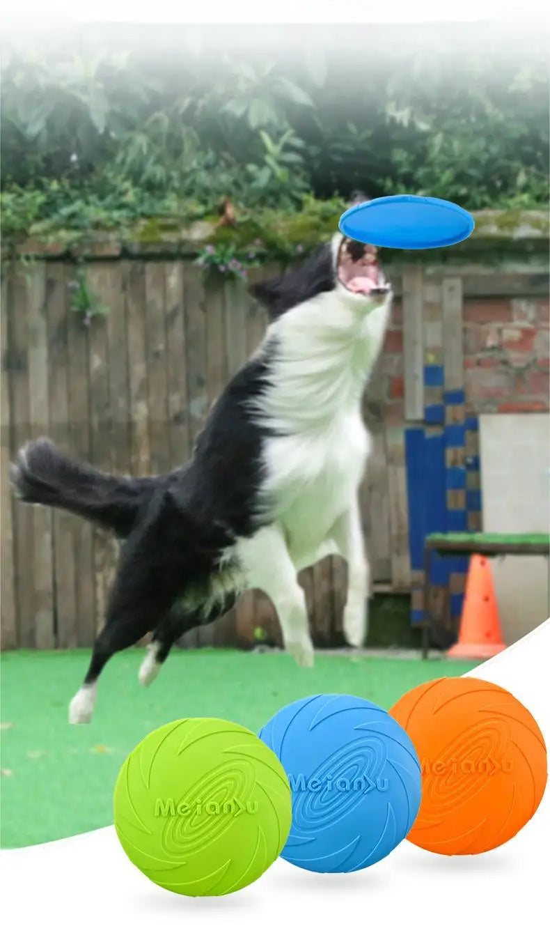 Bite-Resistant Dog Flying Disc – Interactive Fetch & Training Toy