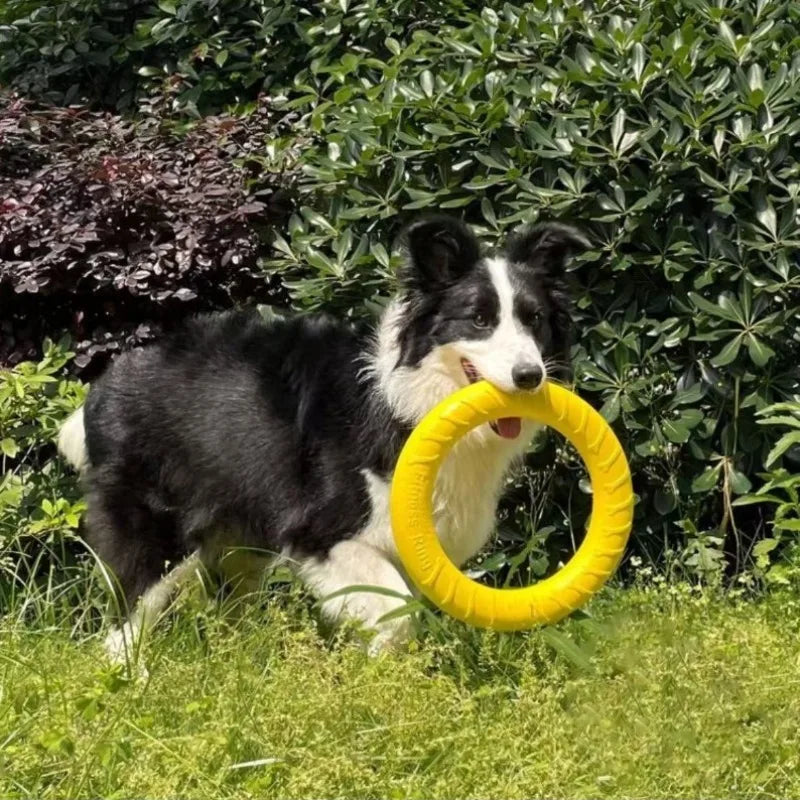 Dog Flying Ring Toy – Chew, Fetch & Outdoor Training Toy