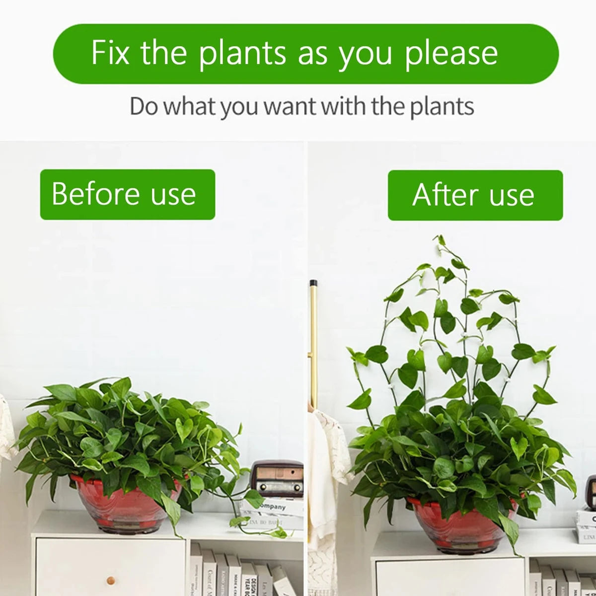 Self-Adhesive Plant Wall Clips (10 Pack)