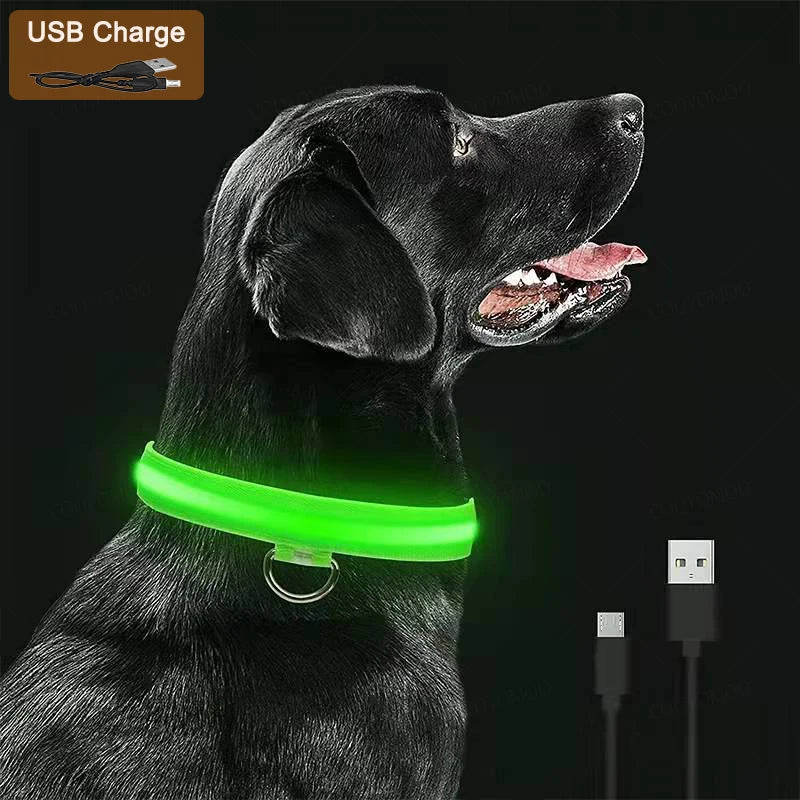 Rechargeable LED Light-Up Pet Collar