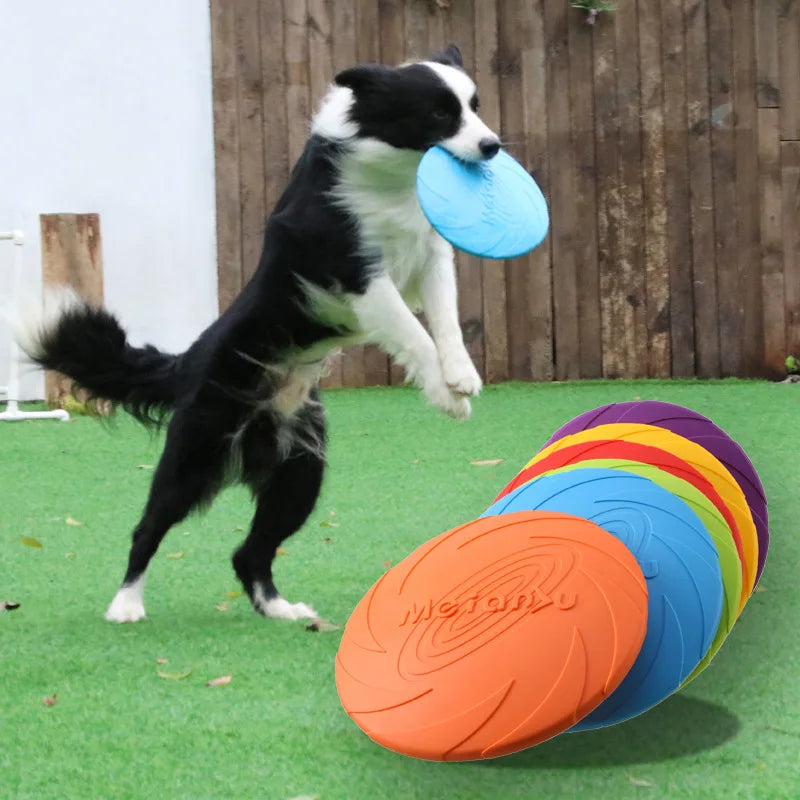 Bite-Resistant Dog Flying Disc – Interactive Fetch & Training Toy