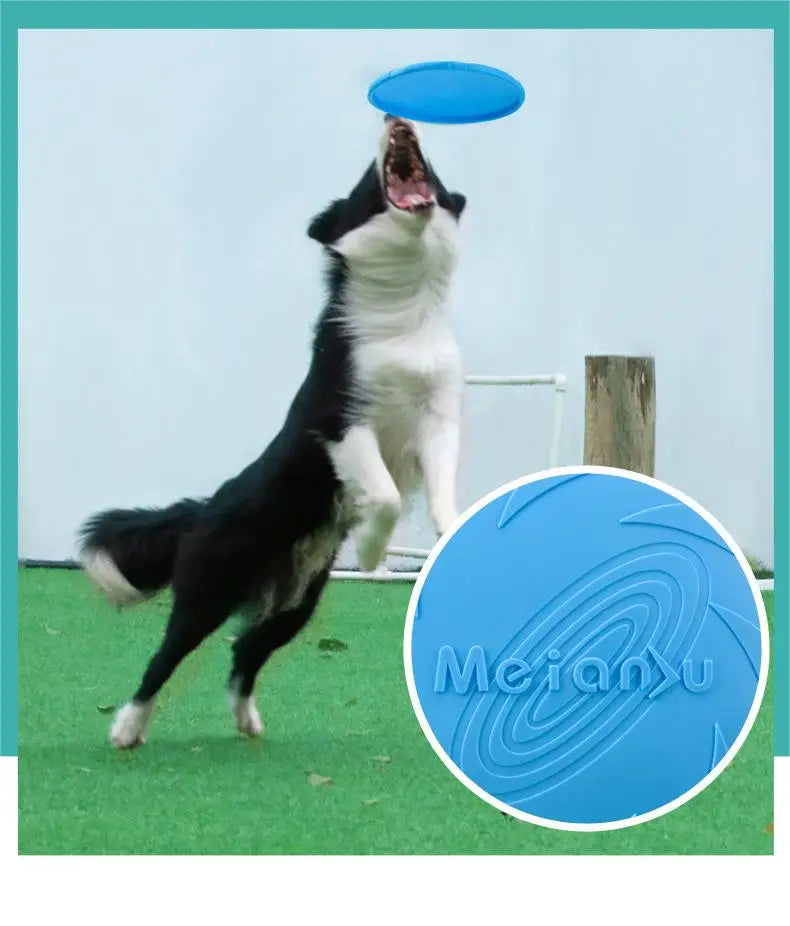 Bite-Resistant Dog Flying Disc – Interactive Fetch & Training Toy